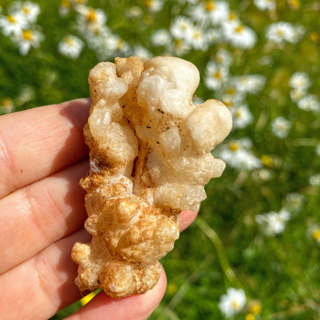Incredible & Unusual Peach Calcite Flower Display Specimen - Earth Family Crystals