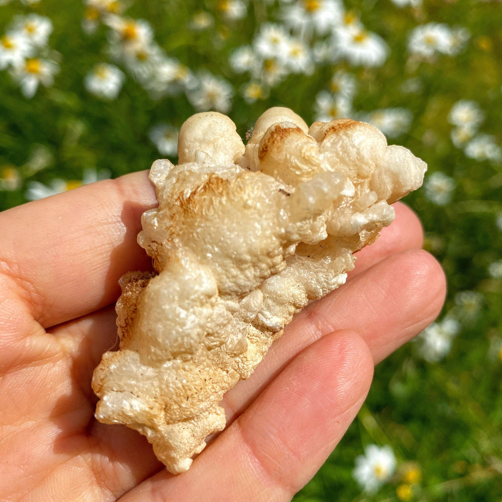 Incredible & Unusual Peach Calcite Flower Display Specimen - Earth Family Crystals