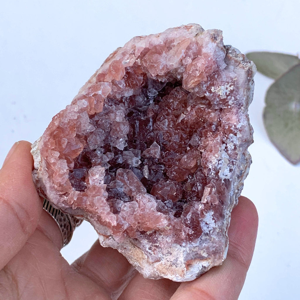 Gorgeous Druzy Magenta Pink Amethyst Geode Large Specimen From Patagonia - Earth Family Crystals
