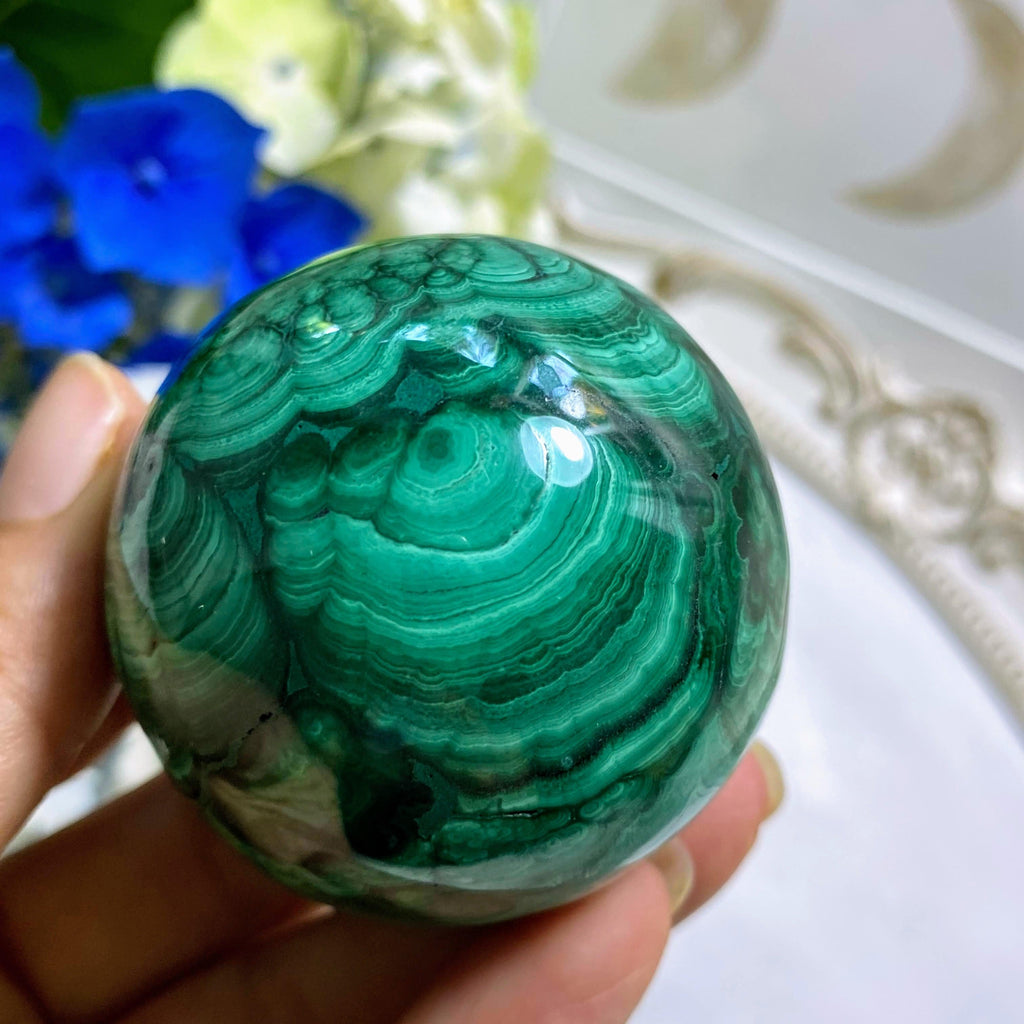 Gorgeous Green Flower Patterns Malachite Large Sphere Carving (Includes Wood Stand) #2 - Earth Family Crystals
