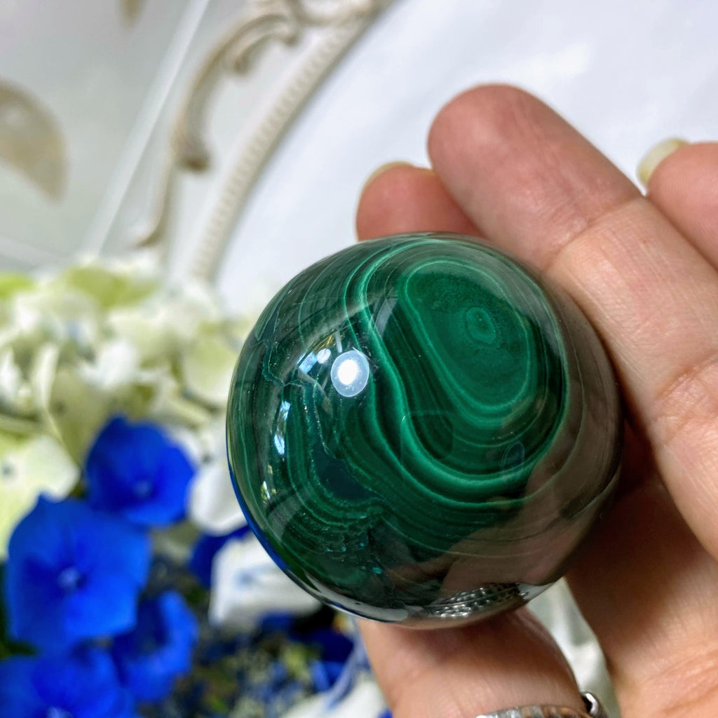 Deep Green Swirls  Malachite Sphere Carving (Includes Wood Stand) - Earth Family Crystals