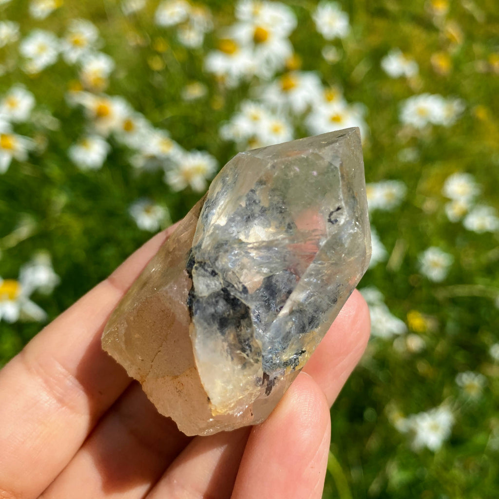 Clear Quartz & Black Hematite Natural Quartz Point~From Arkansas, USA - Earth Family Crystals