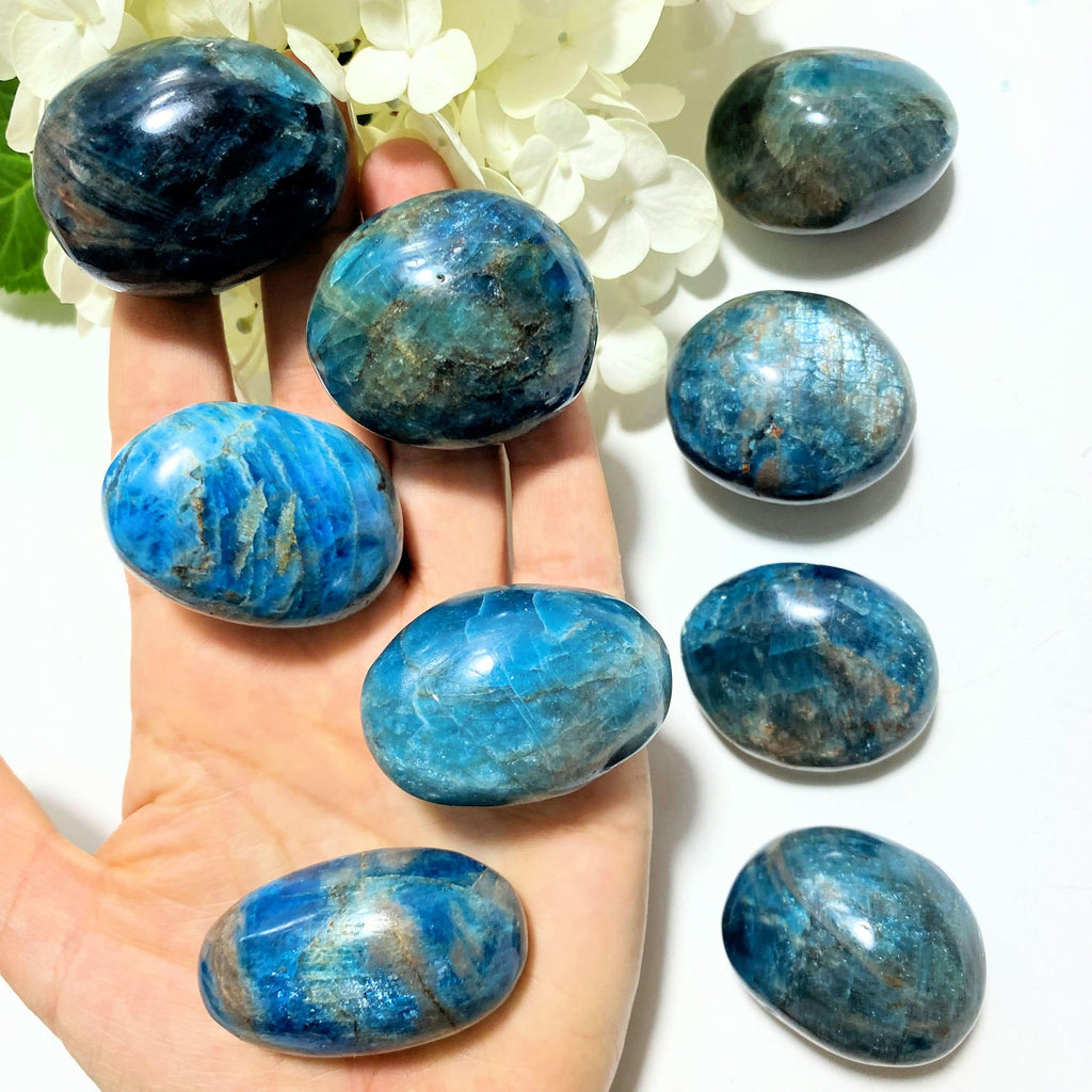 One Small Bold Blue Apatite Palm Stone ~Locality Madagascar - Earth Family Crystals