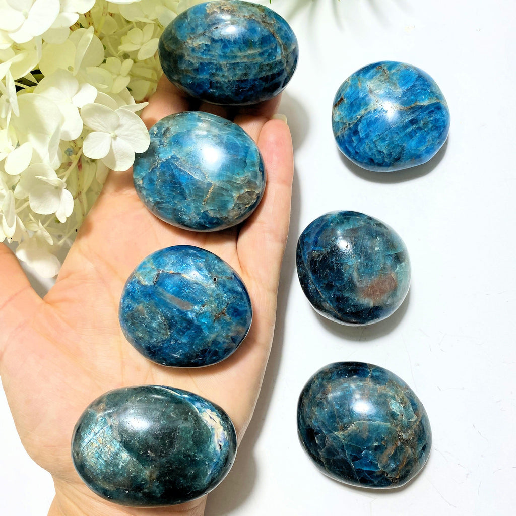 One Medium Bold Blue Apatite Palm Stone ~Locality Madagascar - Earth Family Crystals