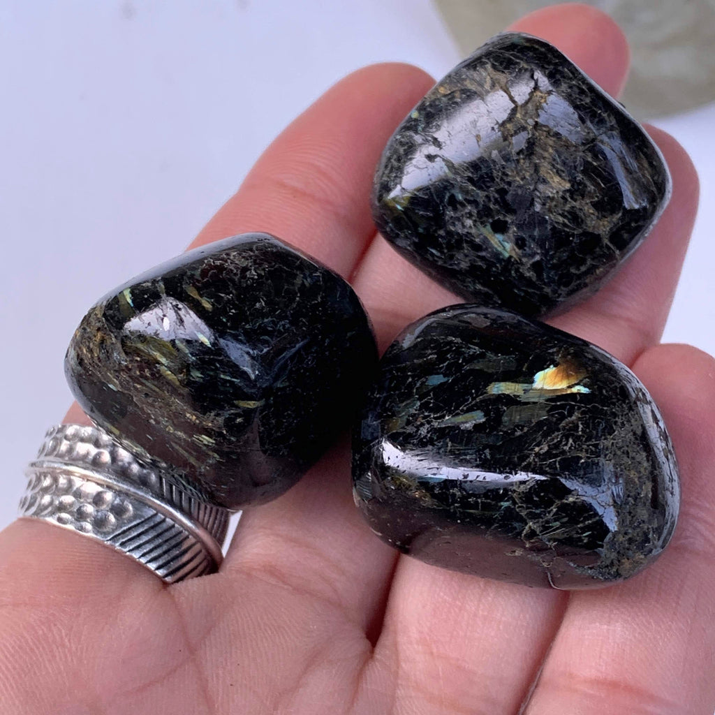 One Genuine Greenland Nuummite Tumbled Pocket Stones *REDUCED* - Earth Family Crystals