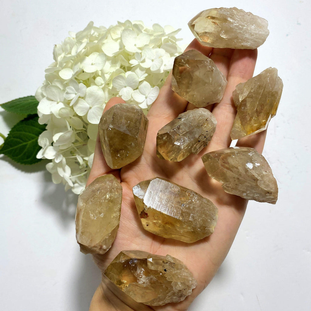 One Natural Honey Citrine Partially Polished Point ~ Locality: Congo - Earth Family Crystals