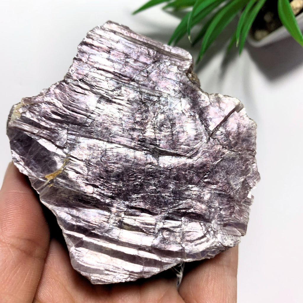 Chunky Natural Violet Lepidolite Specimen From Brazil - Earth Family Crystals