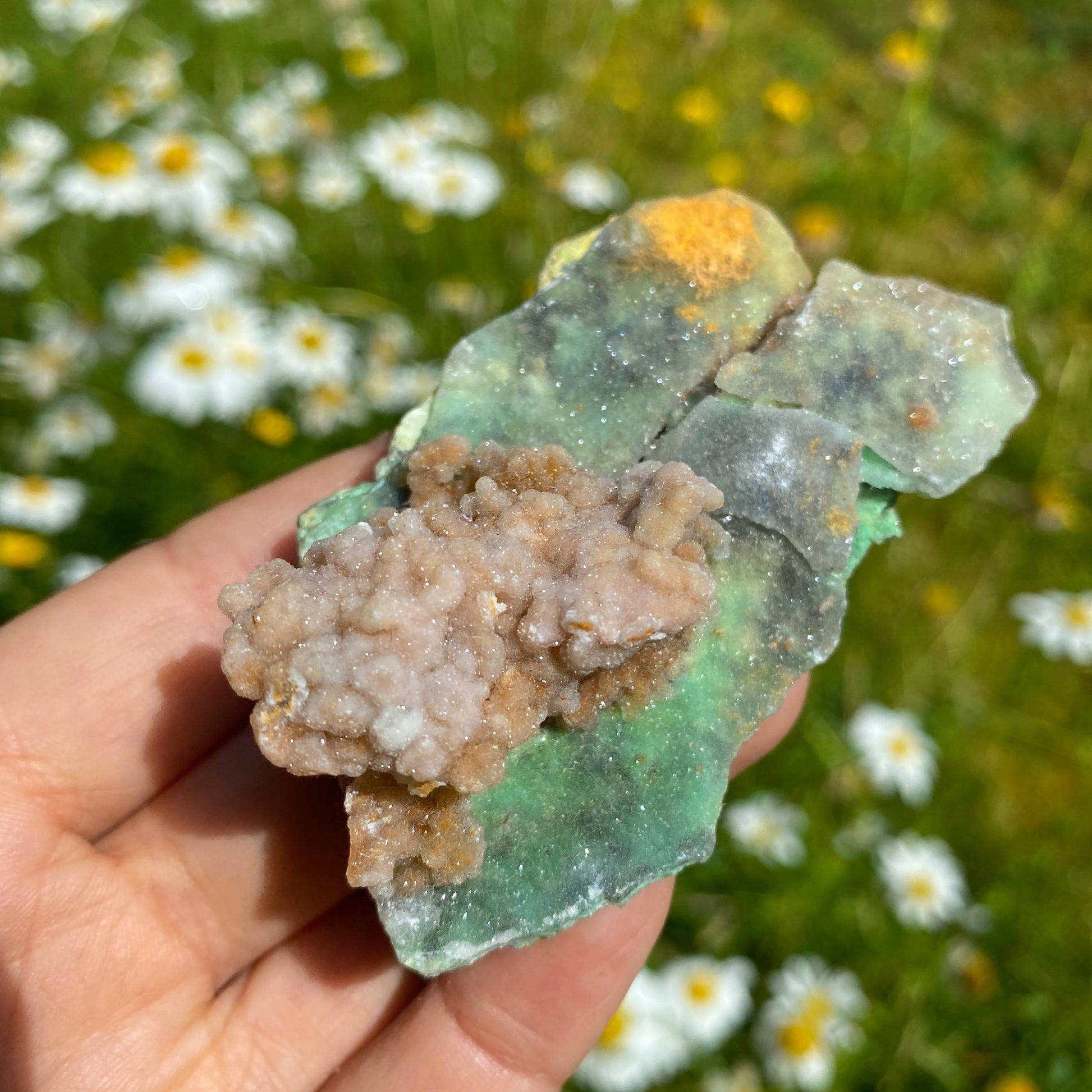 NEW RARE FIND! Sparkling Pink & Green Chalcedony Natural Specimen #8 - Earth Family Crystals