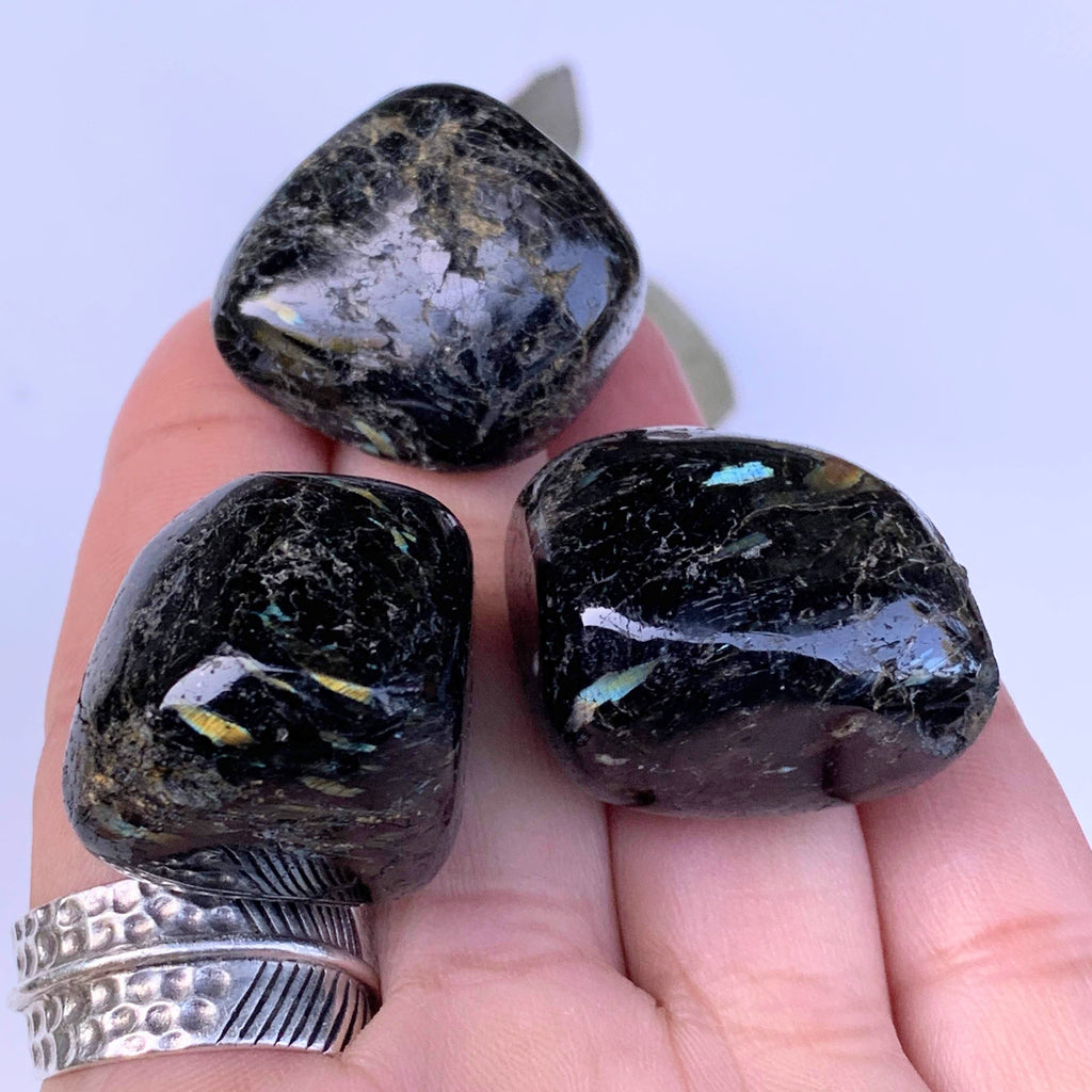 One Genuine Greenland Nuummite Tumbled Pocket Stones *REDUCED* - Earth Family Crystals