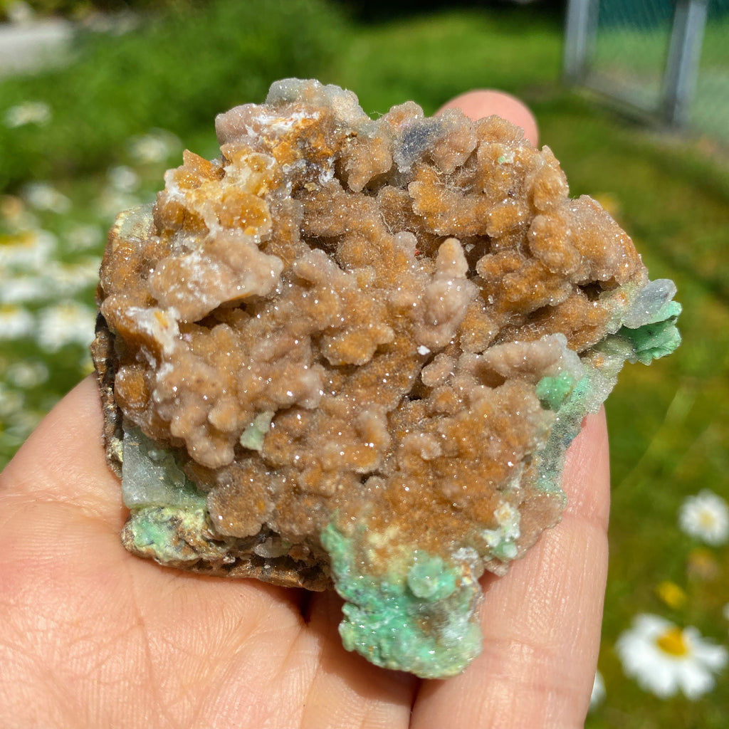 NEW RARE FIND! Sparkling Pink & Green Chalcedony Natural Specimen #7 - Earth Family Crystals