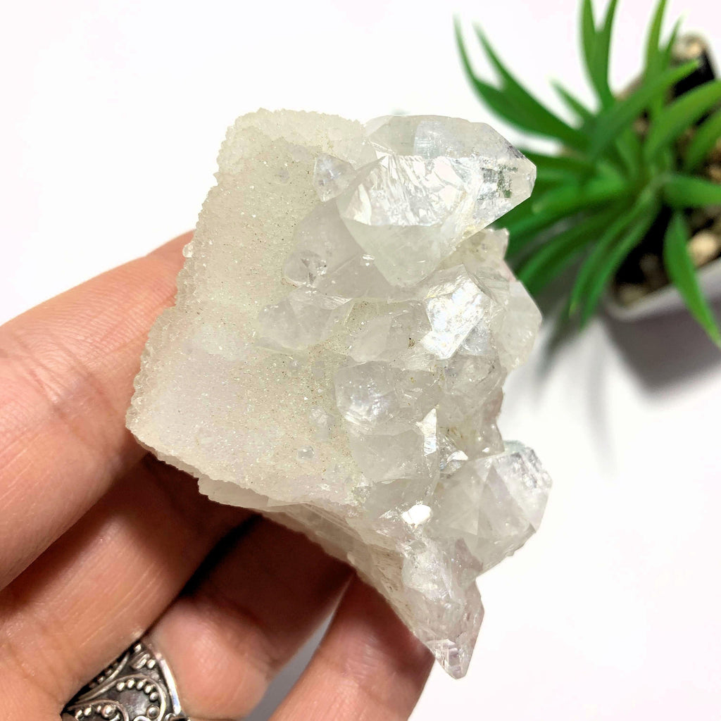 Unique Glimmering Quartz Frosted Calcite With Apophyllite From India - Earth Family Crystals