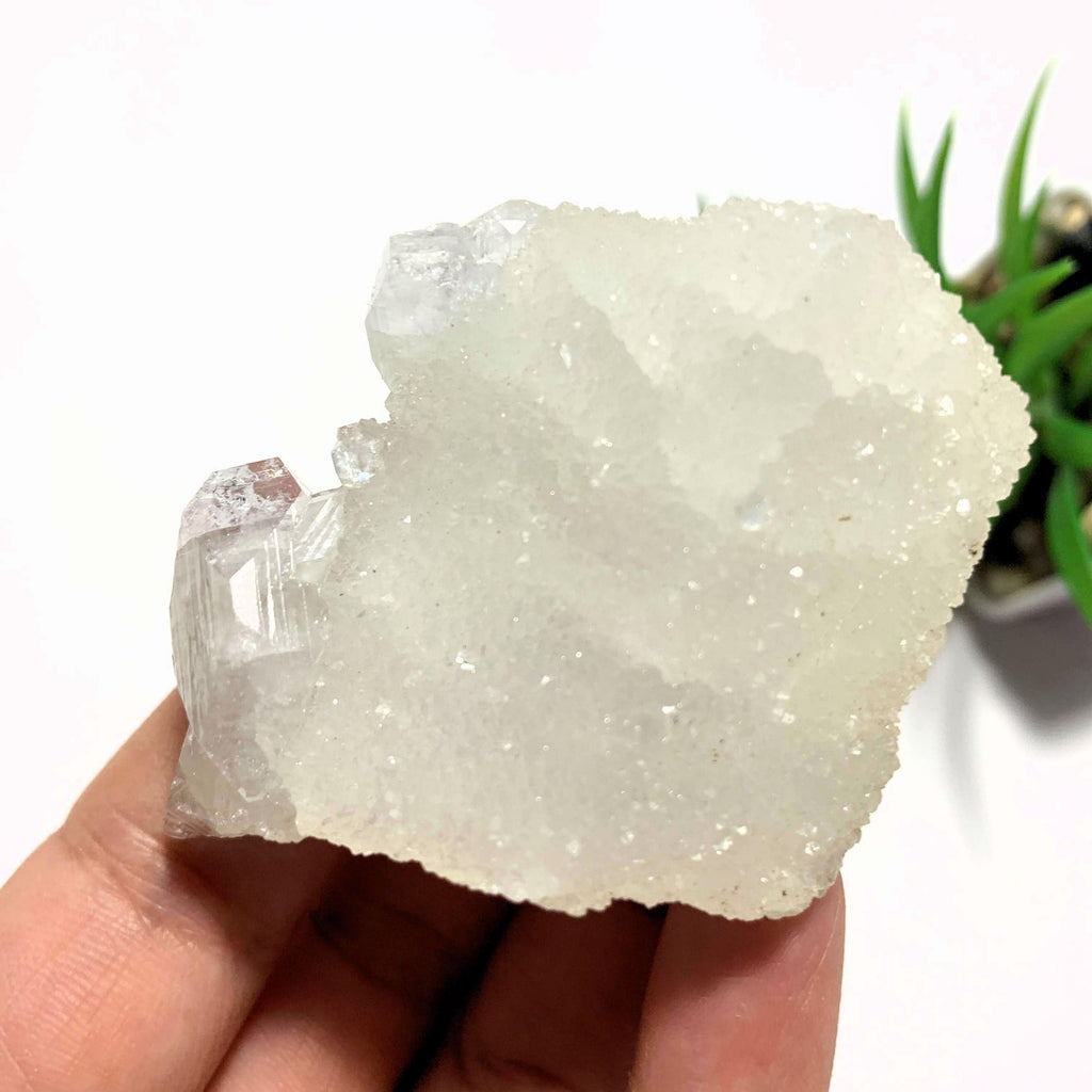 Unique Glimmering Quartz Frosted Calcite With Apophyllite From India - Earth Family Crystals
