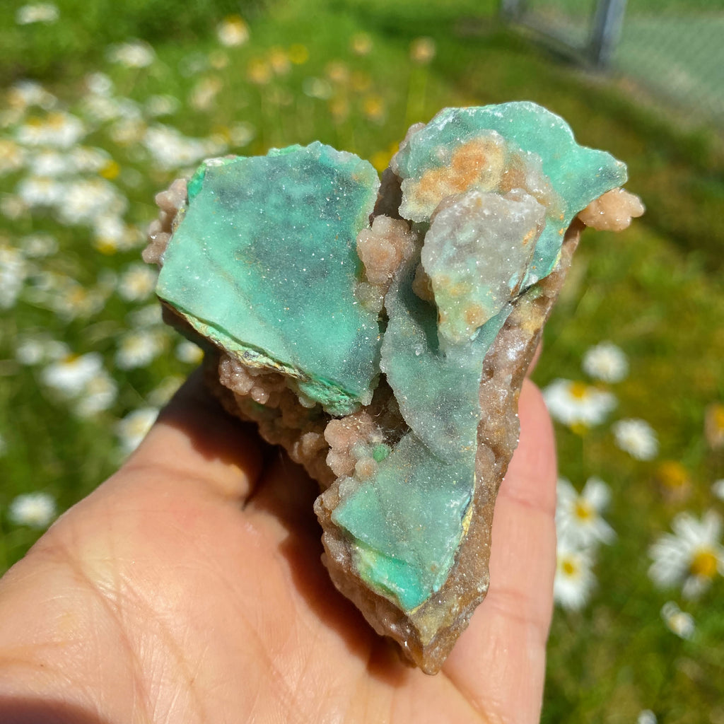 NEW RARE FIND! Large Sparkling Pink & Green Chalcedony Natural Specimen #4 - Earth Family Crystals