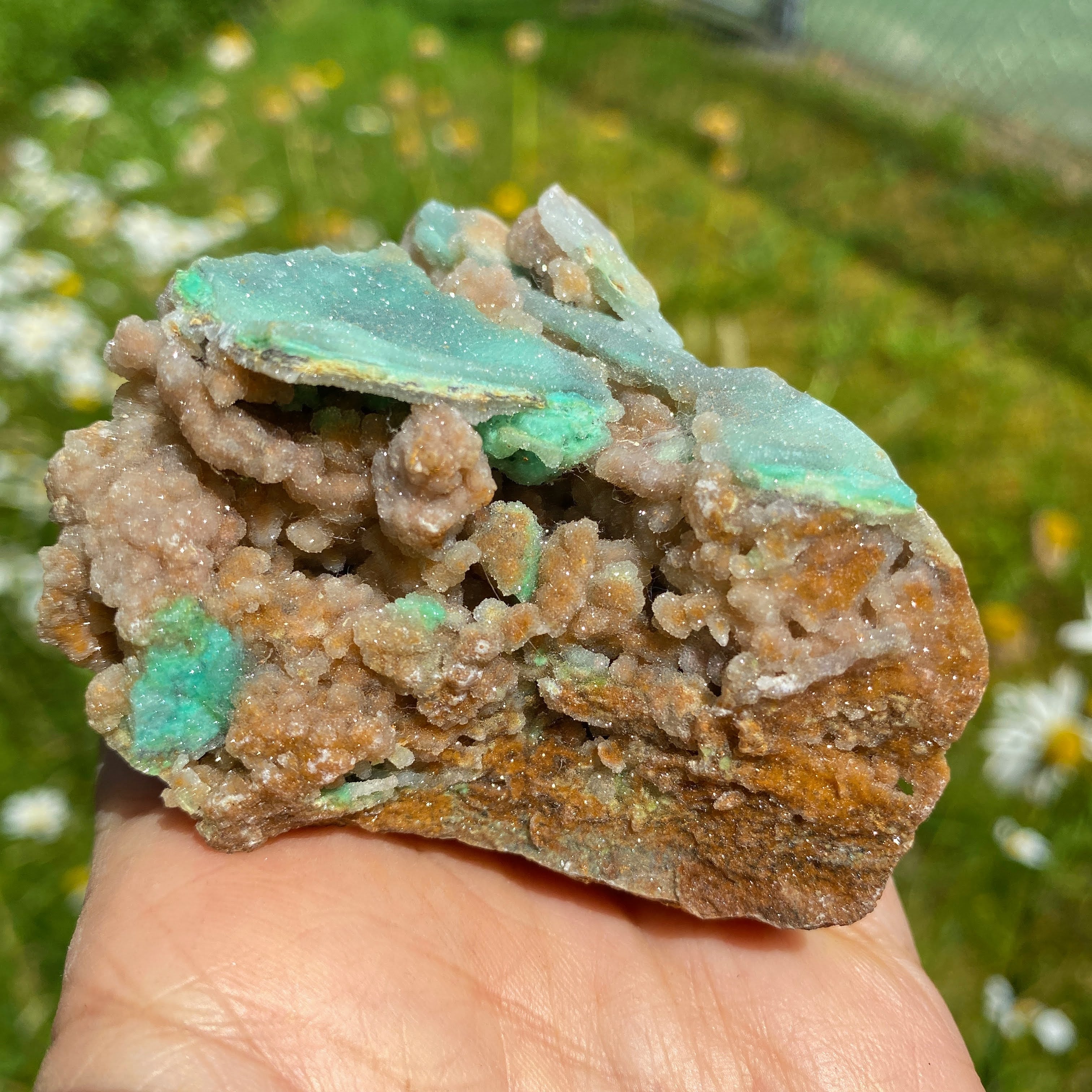 NEW RARE FIND! Large Sparkling Pink & Green Chalcedony Natural Specimen #4 - Earth Family Crystals