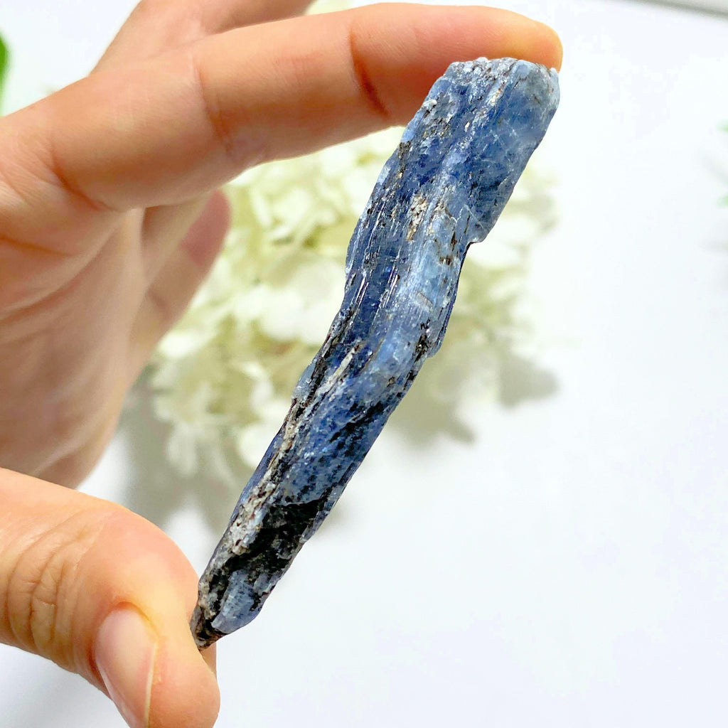 Uniquely Bent Deep Blue Kyanite Raw Point ~Locality Zimbabwe - Earth Family Crystals