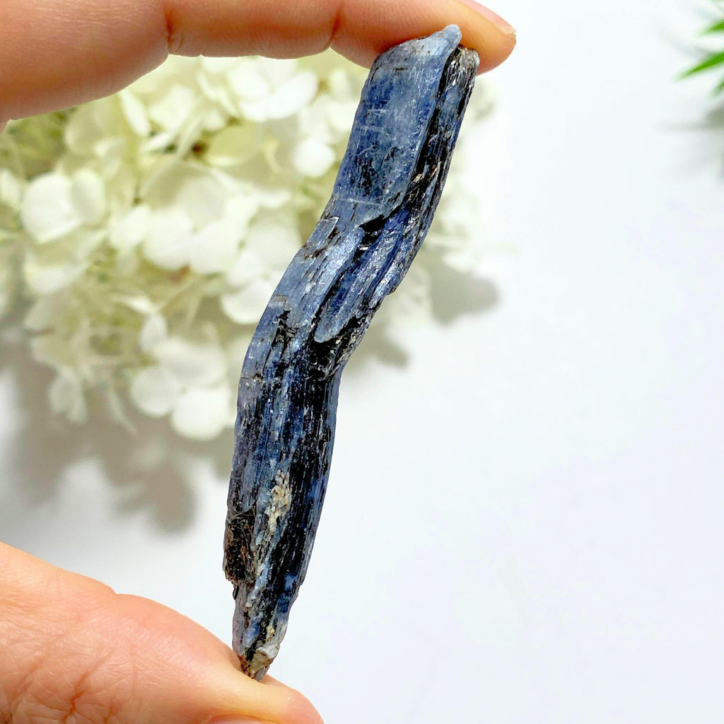 Uniquely Bent Deep Blue Kyanite Raw Point ~Locality Zimbabwe - Earth Family Crystals