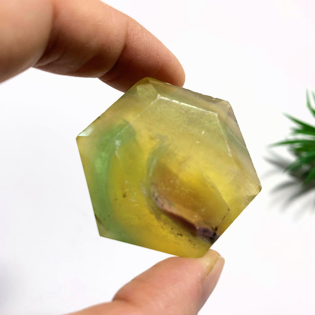 Vibrant Golden & Green Fluorite Carving - Earth Family Crystals
