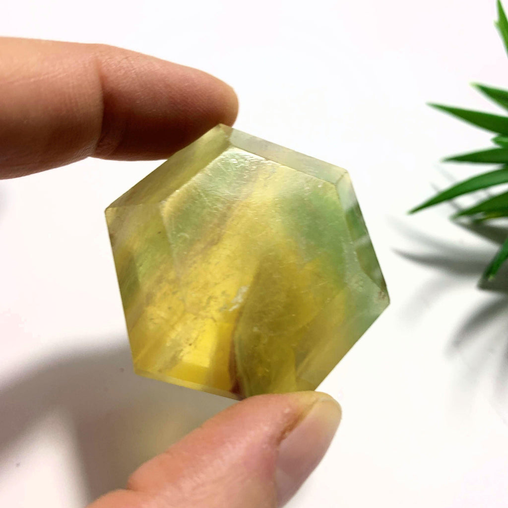 Vibrant Golden & Green Fluorite Carving - Earth Family Crystals