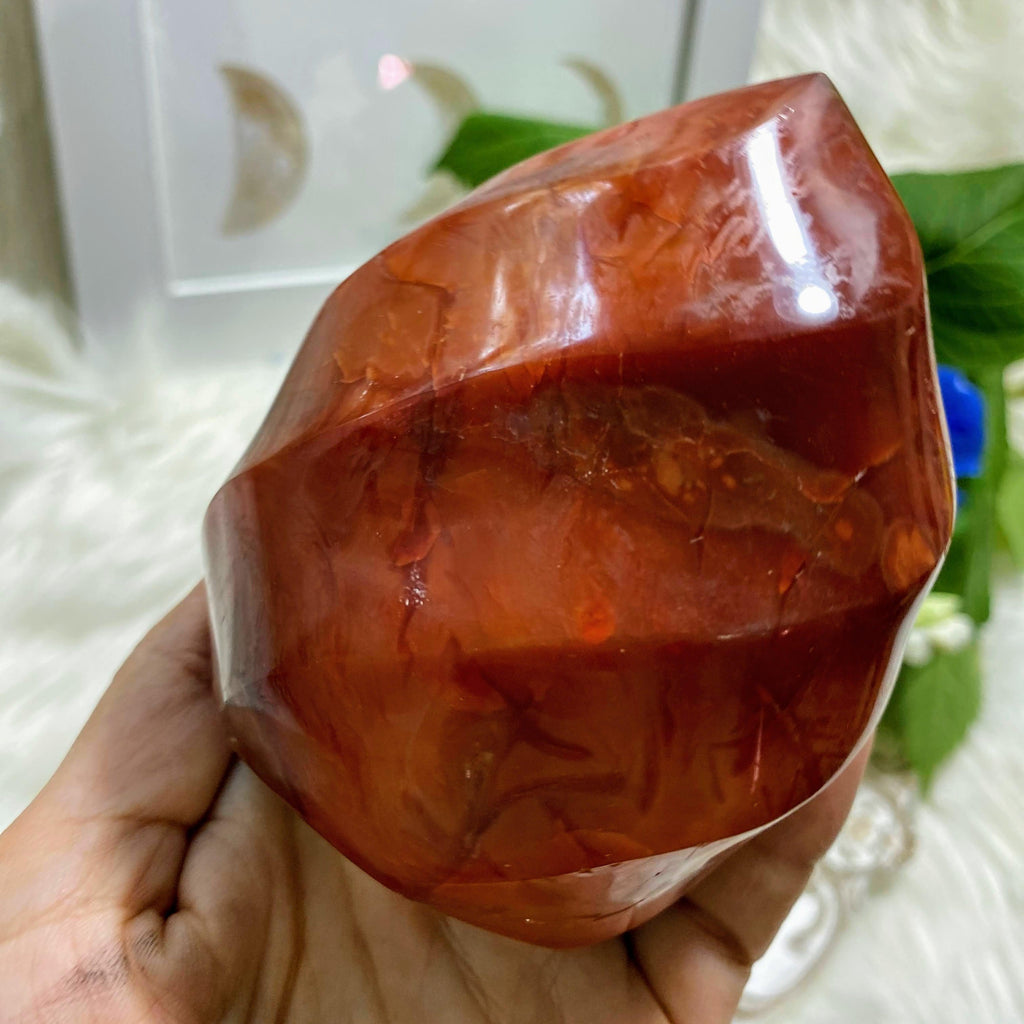 Fiery Orange/Red Carnelian Large Flame Standing Display Specimen #1 - Earth Family Crystals
