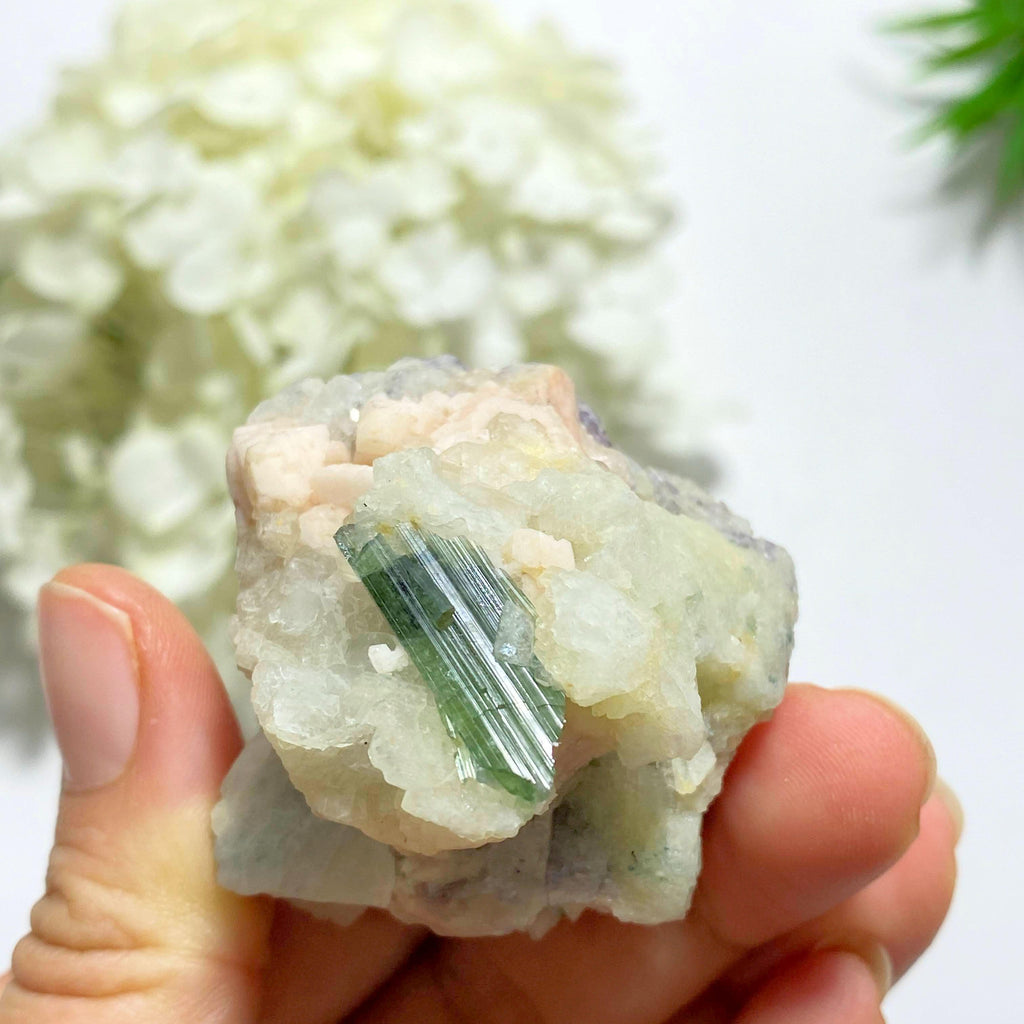 Gemmy Green Tourmaline & Lepidolite Nestled in Quartz Matrix~Locality Brazil - Earth Family Crystals