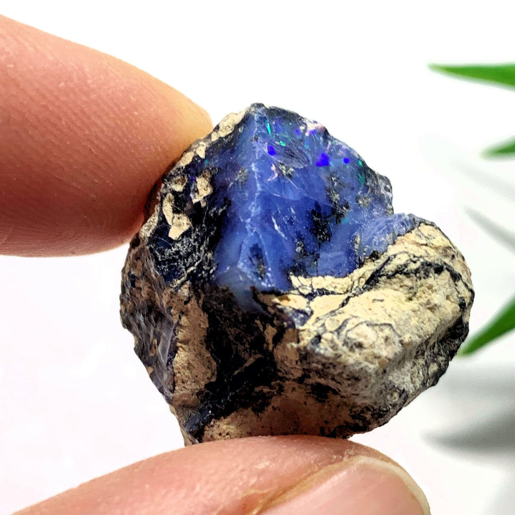 Rare Blue Ethiopian Opal Raw & Natural Collectors Specimen - Earth Family Crystals