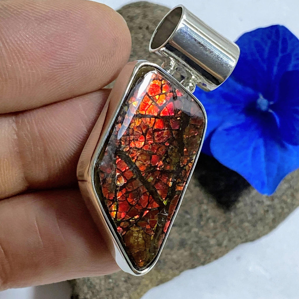 Red Flashes Ammolite Pendant in Sterling Silver (Includes Silver Chain) - Earth Family Crystals