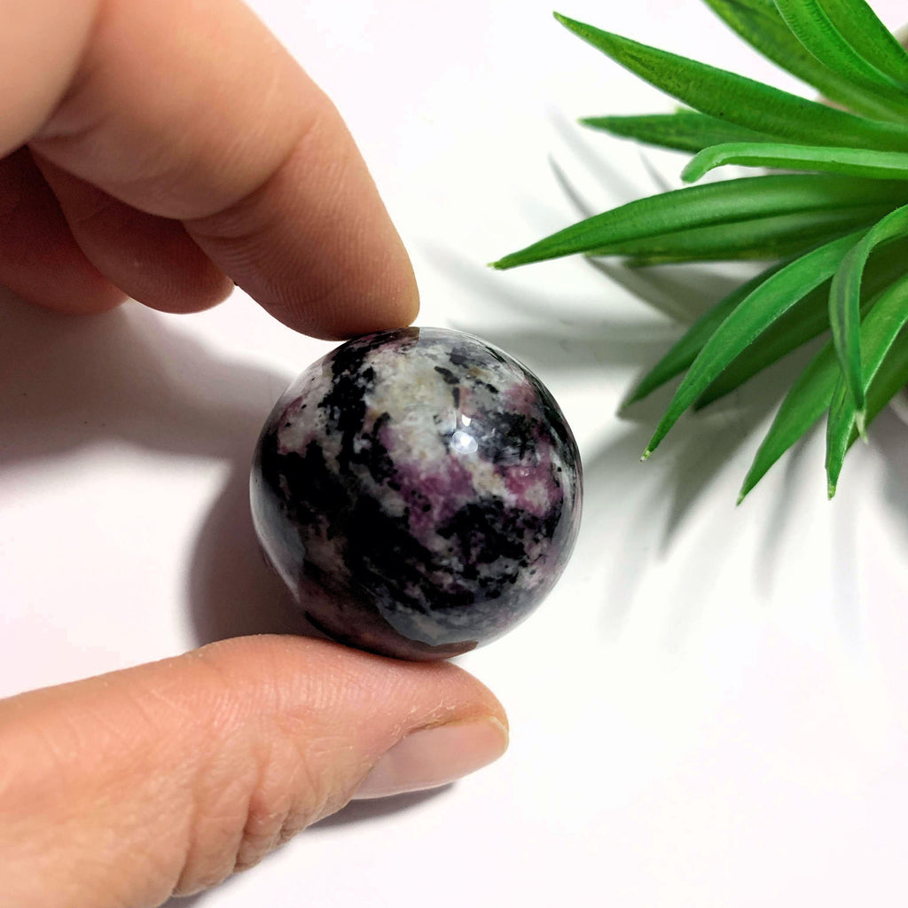 Stunning Rare Eudialyte Sphere Carving  From Russia #2 - Earth Family Crystals