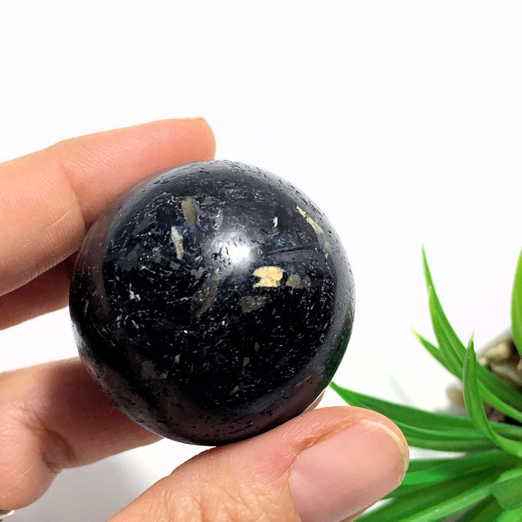 Rare Genuine Greenland Nuummite Sphere Carving - Earth Family Crystals