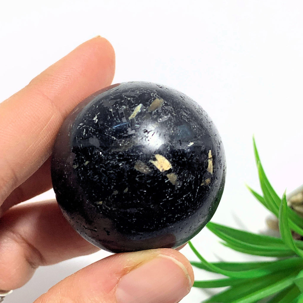 Rare Genuine Greenland Nuummite Sphere Carving - Earth Family Crystals