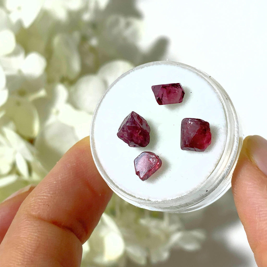 Gemmy Natural Burgundy Spinel's In Collectors Box - Earth Family Crystals