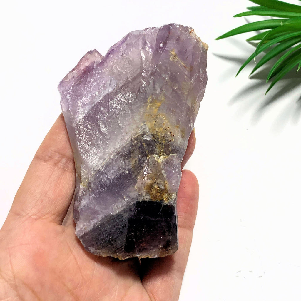 Pretty Purple Color Contrast Genuine Auralite-23 Self Healed Point from Canada - Earth Family Crystals