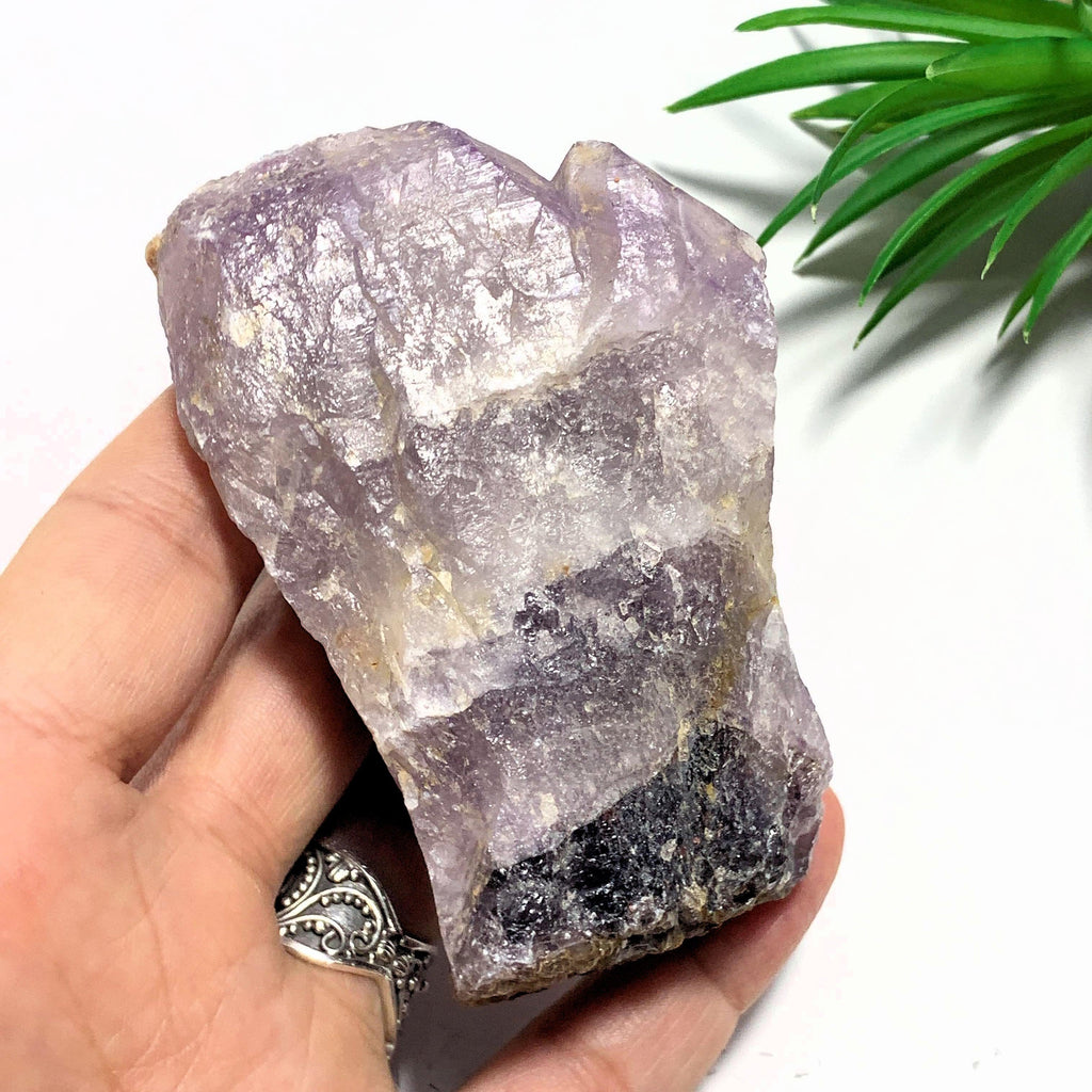 Pretty Purple Color Contrast Genuine Auralite-23 Self Healed Point from Canada - Earth Family Crystals