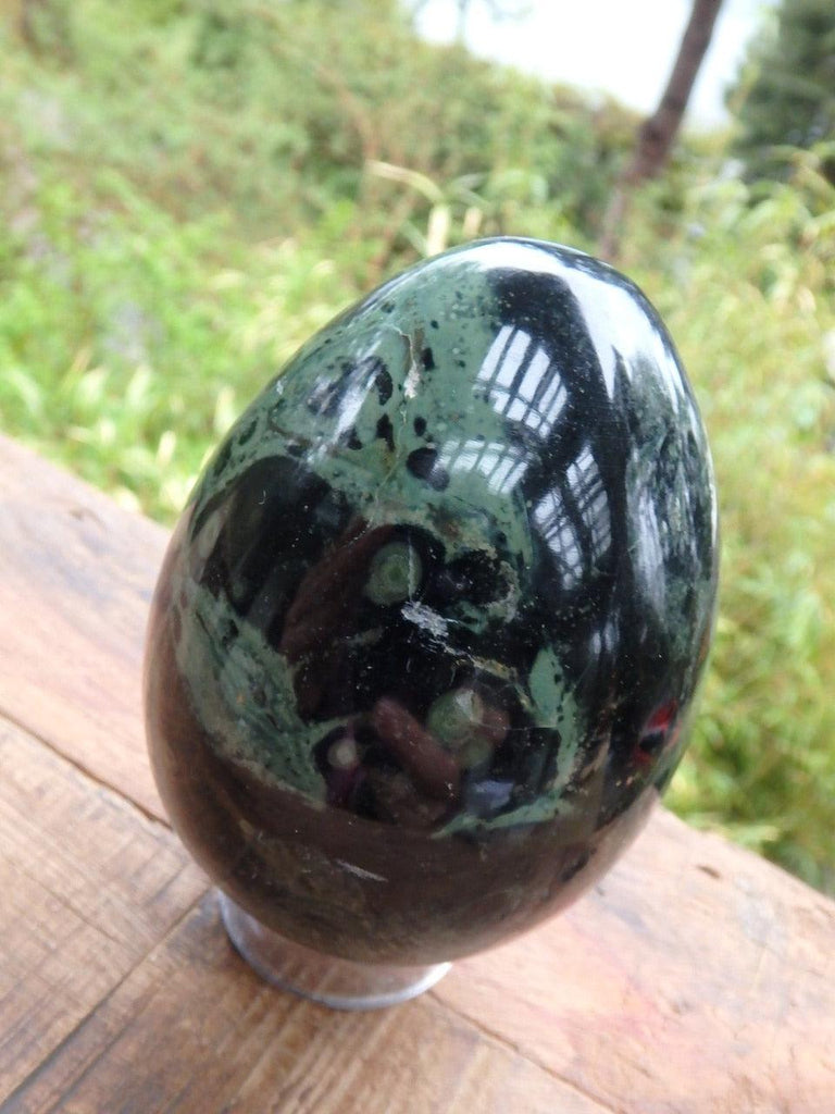 Glossy Large Kambaba Jasper Egg Carving - Earth Family Crystals