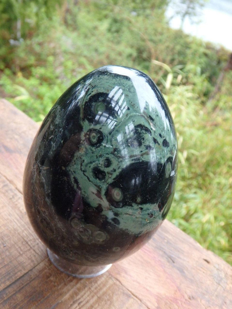 Glossy Large Kambaba Jasper Egg Carving - Earth Family Crystals