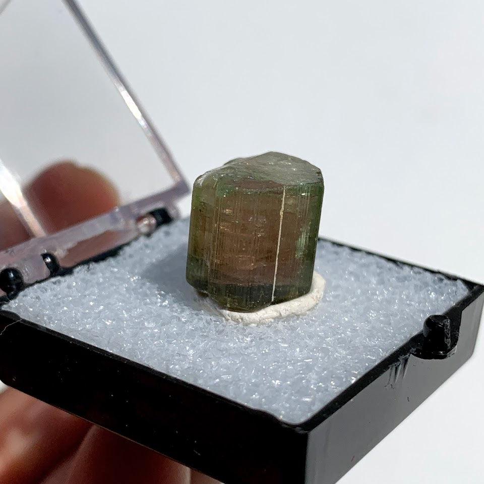 Rare Gemmy Watermelon Tourmaline Point From Brazil in Collectors Box #3 - Earth Family Crystals
