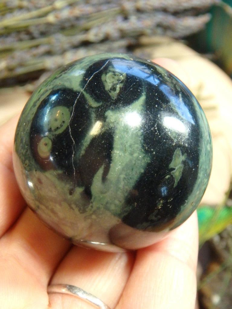 Kambaba Jasper Gemstone Sphere 2 - Earth Family Crystals