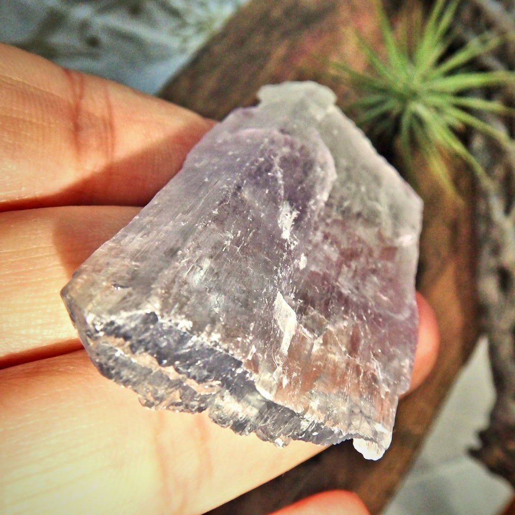 Purple & Clear Kunzite Specimen Natural Specimen - Earth Family Crystals