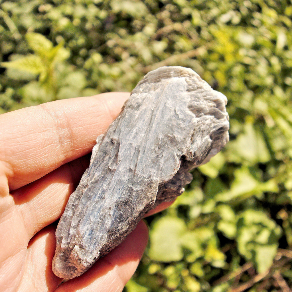 Raw & Natural Blue Kyanite Cluster From Brazil #3 - Earth Family Crystals