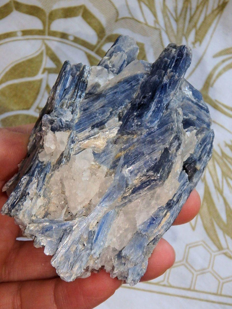 Blue Kyanite Cluster With Quartz & Garnet Inclusions From Brazil - Earth Family Crystals