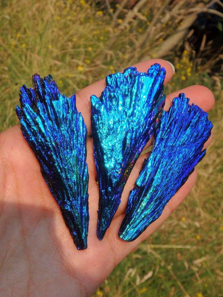 Brilliant Titanium Coated Kyanite Fan Specimen (1) - Earth Family Crystals