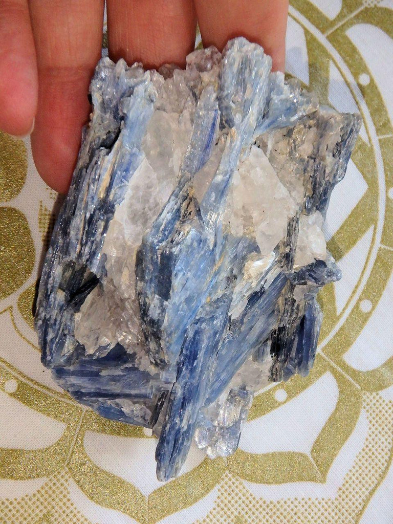 Blue Kyanite Cluster With Quartz & Garnet Inclusions From Brazil - Earth Family Crystals