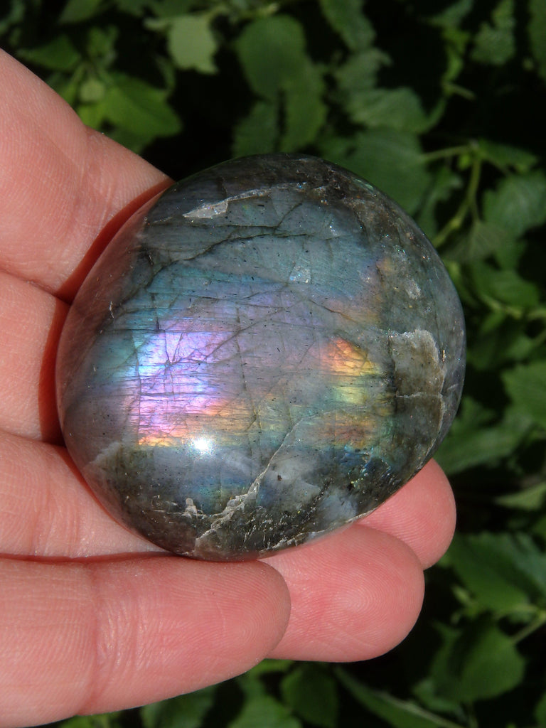 Deep Purple & Rainbow Flashes Labradorite Pocket Stone - Earth Family Crystals