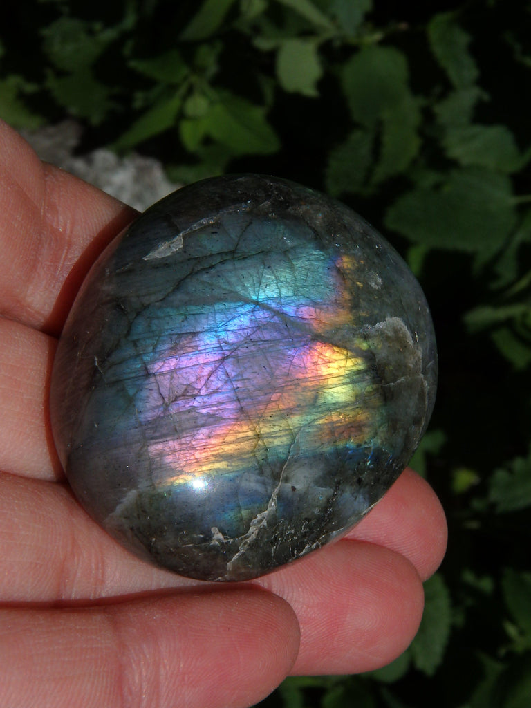 Deep Purple & Rainbow Flashes Labradorite Pocket Stone - Earth Family Crystals