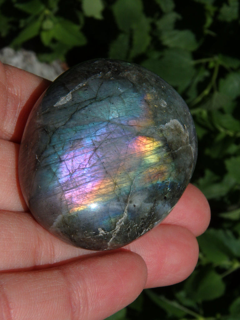 Deep Purple & Rainbow Flashes Labradorite Pocket Stone - Earth Family Crystals