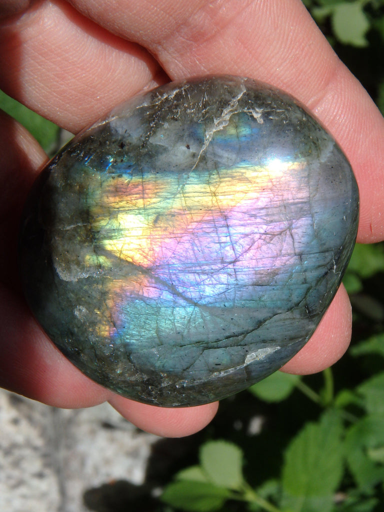 Deep Purple & Rainbow Flashes Labradorite Pocket Stone - Earth Family Crystals