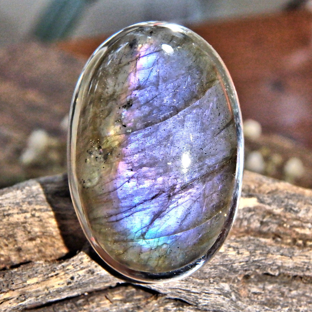 Chunky Rare Optical Dark Purple Flashes Labradorite Ring in Sterling Silver (Size 9.5) - Earth Family Crystals