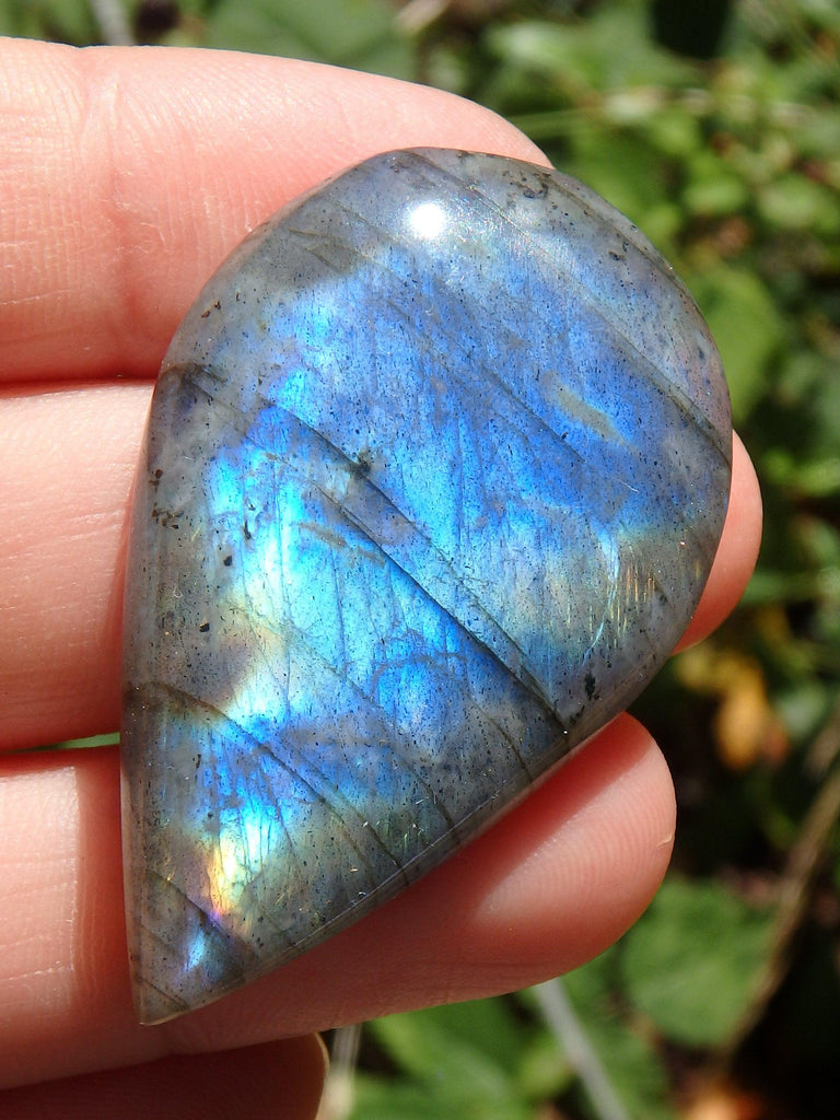 Beautiful Teardrop Shape Rainbow Labradorite Cabochon~Ideal for Jewellery Making! - Earth Family Crystals