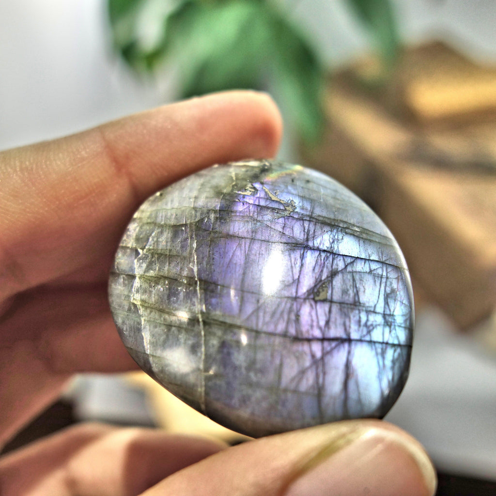 Rare Blushing Purple & Pink Inclusions Labradorite Handheld Palm Stone 2 - Earth Family Crystals