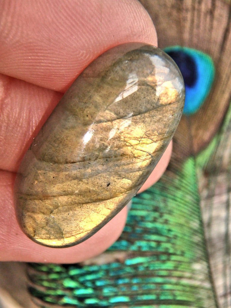 Sunny Golden Flashes Labradorite Cabochon - Earth Family Crystals