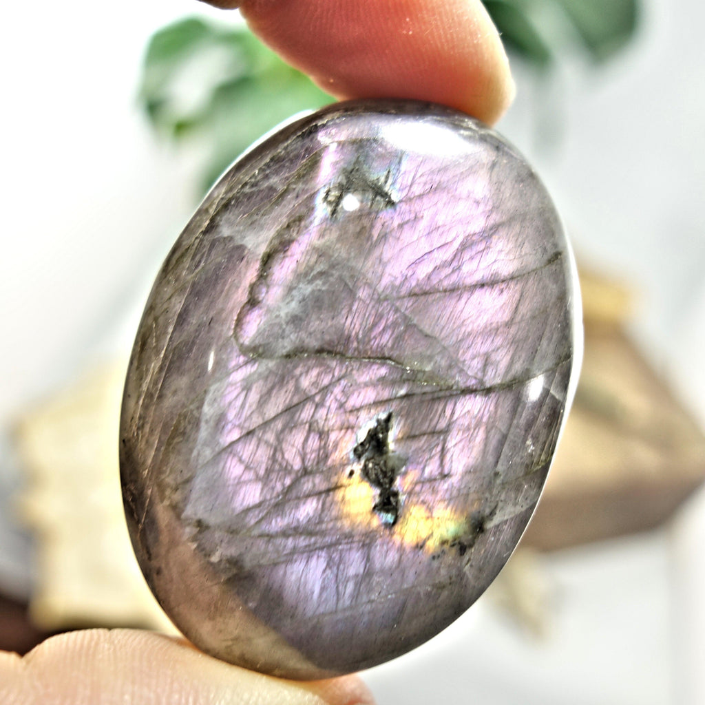 Rare Blushing Purple & Pink Inclusions Labradorite Handheld Palm Stone 1 - Earth Family Crystals